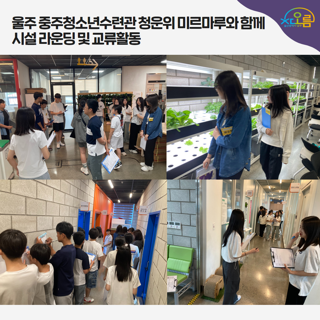 파일보기링크