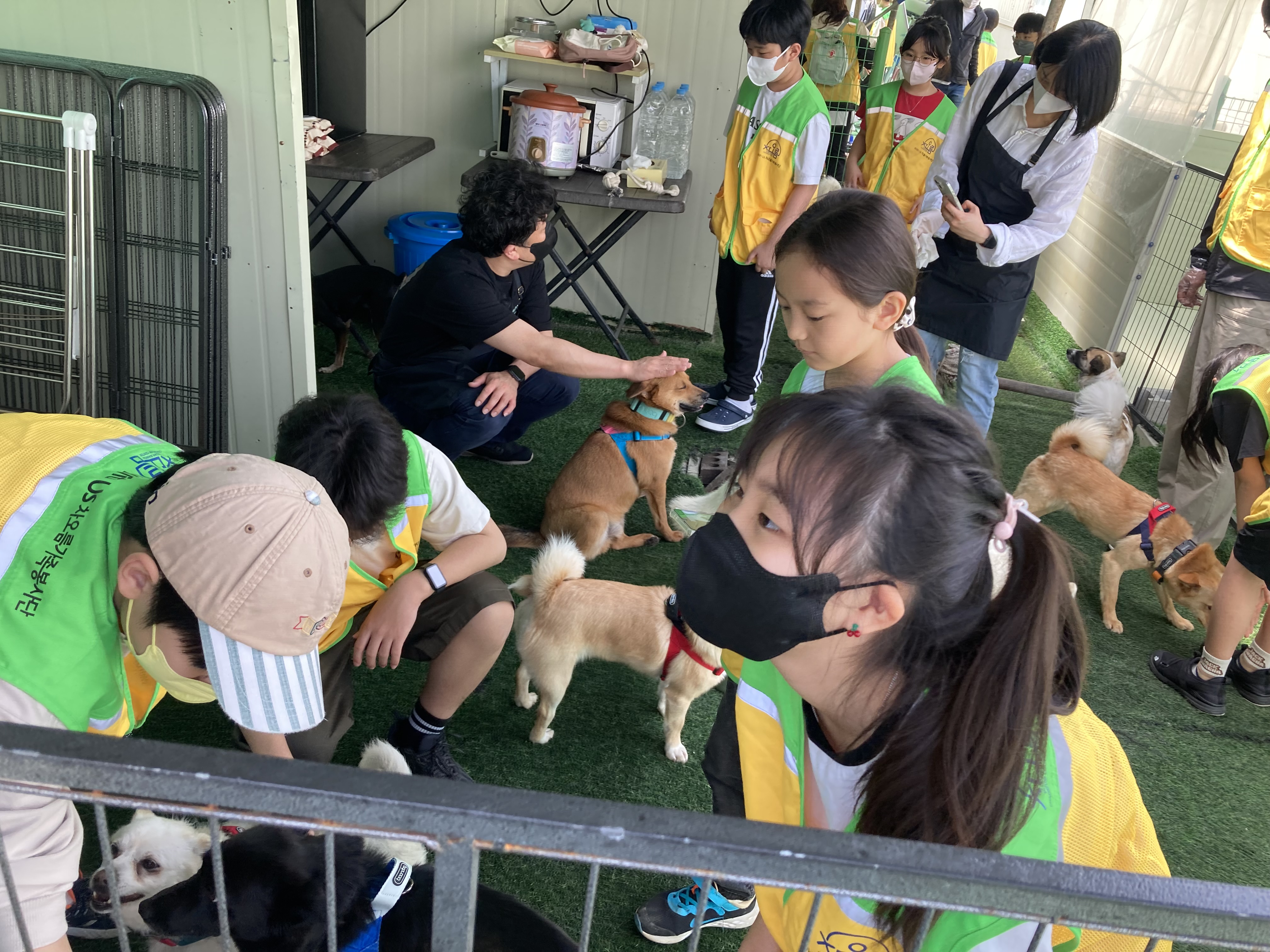 파일보기링크