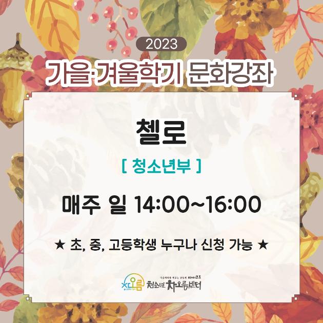 첼로 [청소년부]