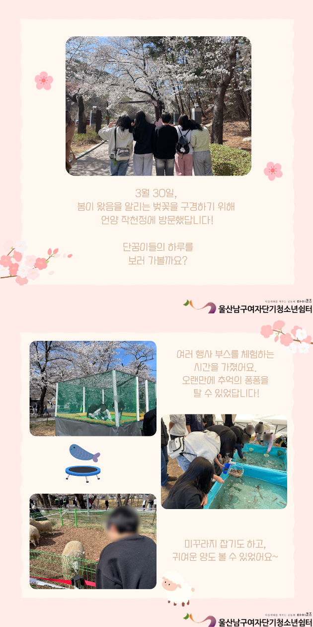 (여단청) 벚꽃엔딩