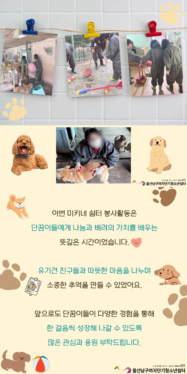 (여단청)유기견과 함께 걷는 하루