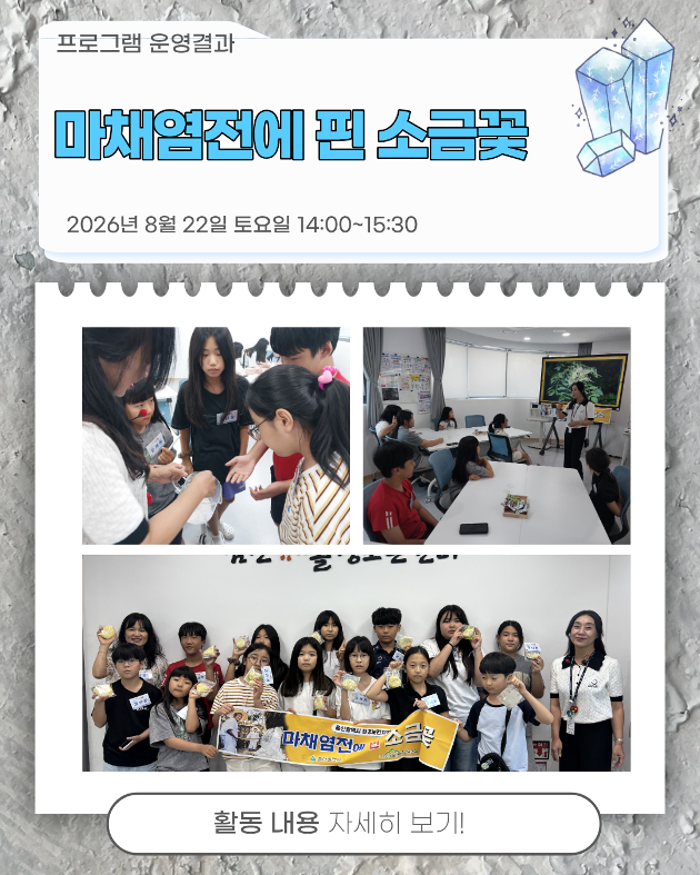마채염전에 핀 소금꽃