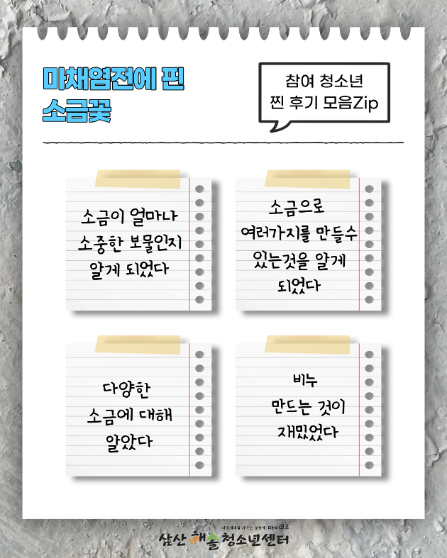 마채염전에 핀 소금꽃