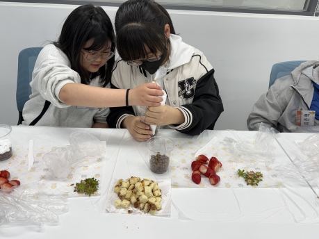 N개의 방과 후 :해솔 ON