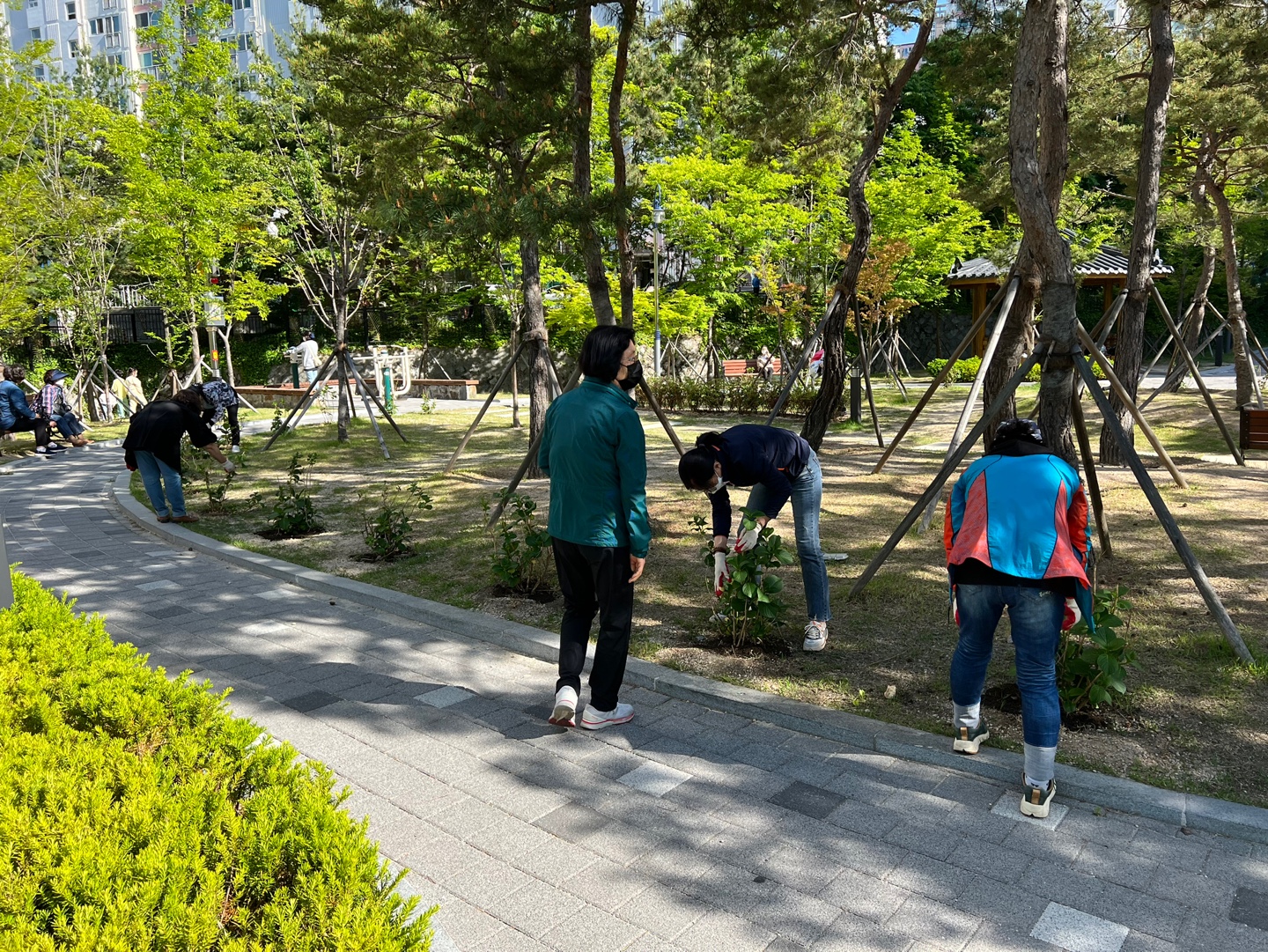 온동네봉사단 공원돌보미 활동(신선소공원)