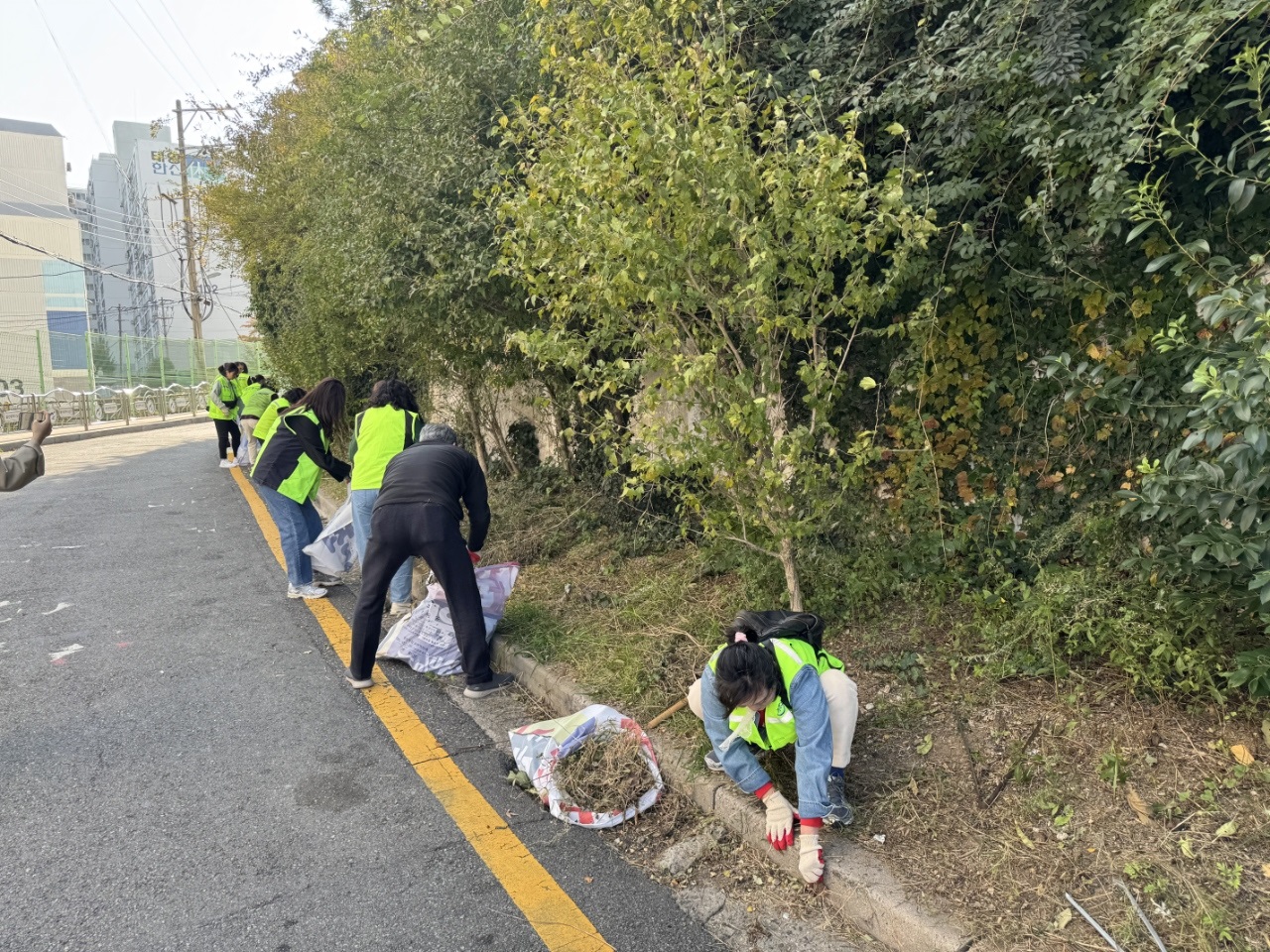 대현동 깨끗데이 활동 사진