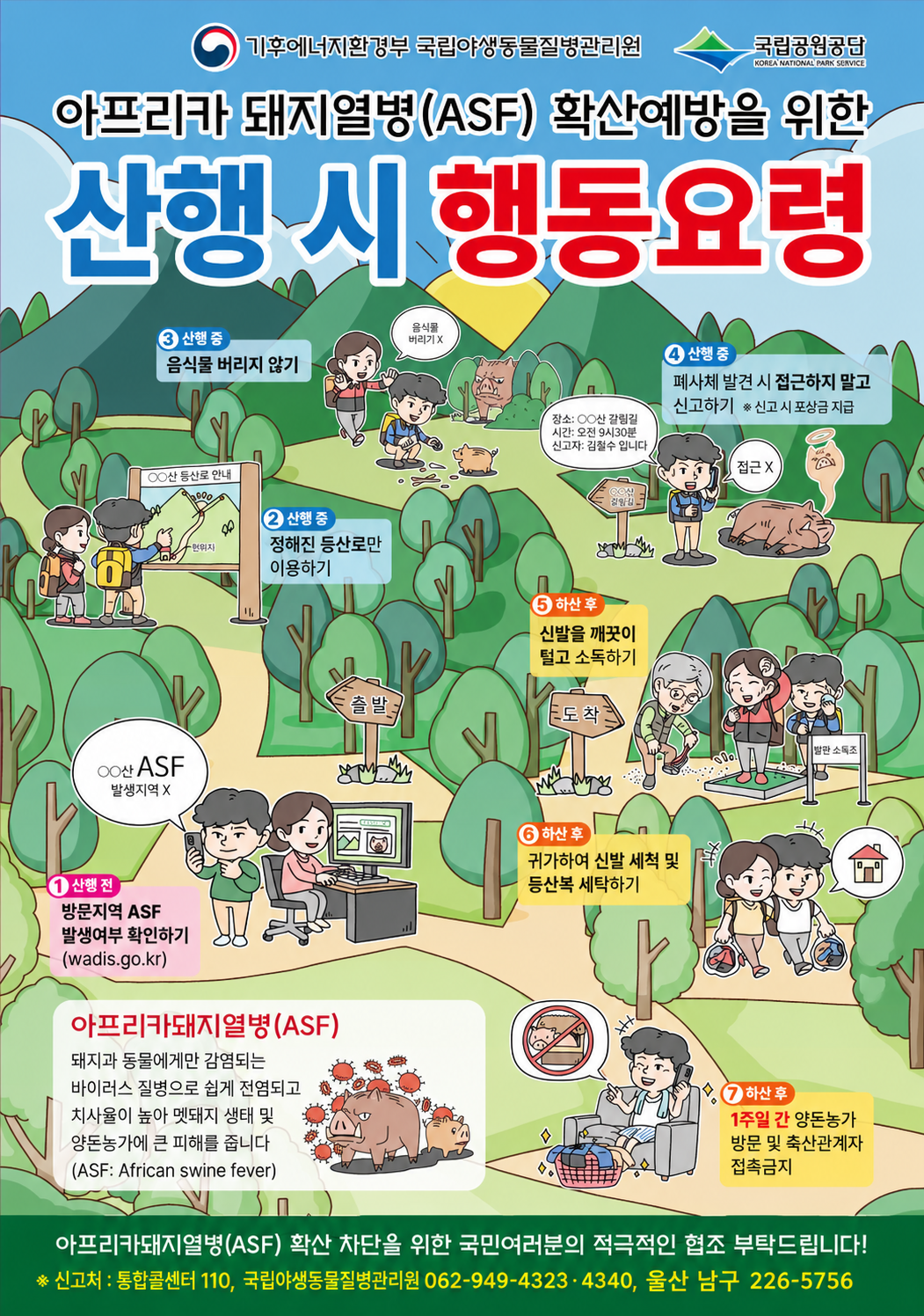 추석 연휴 대비 야생멧돼지 아프리카돼지열병(ASF) 대응 안내