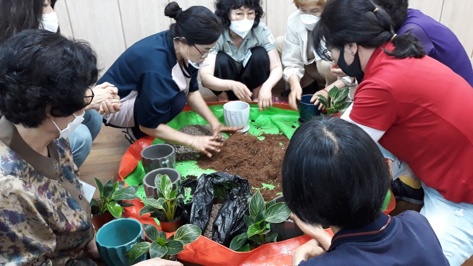 파일보기링크