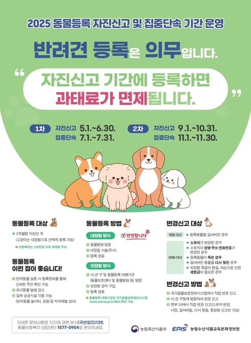 2025 동물등록 자진신고 및 집중단속 기간 운영
