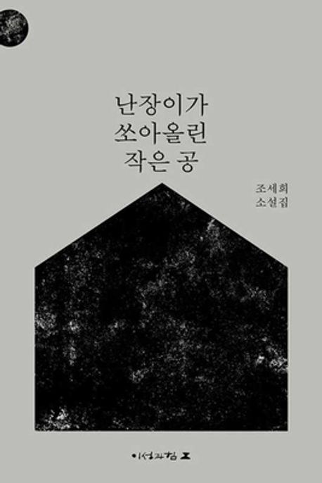 난장이가 쏘아 올린 작은 공 포스터