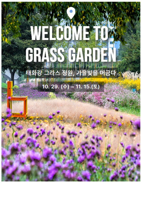 welcome to grass garden 
태화강 그라스 정원, 가을빛을 머금다
10.29.(수) ~ 11. 15.(토)