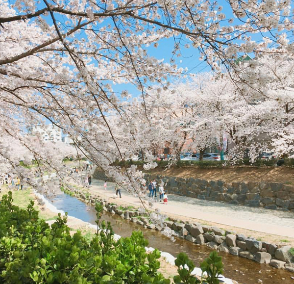 삼호 동 전경