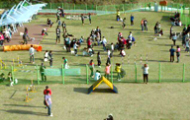 Pet Exercise Park