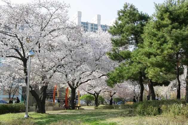 줍고, 알려주고, 자랑하고, '꿀잼대현 만들기' 행사(세관공원)