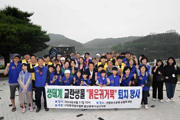 6월11일   (사)잠수협회 울산남구지부 생태계 교란종(붉은귀거북) 퇴치 활동