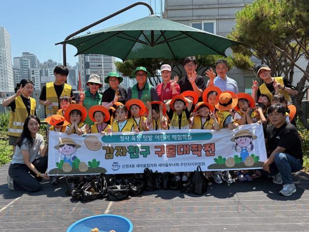 신정4동 옥상텃밭 감자수확 행사