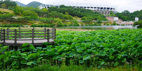 울산체육공원(총괄)