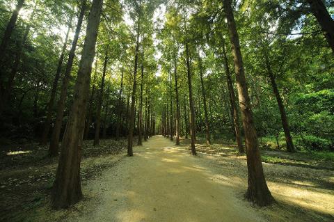 울산대공원