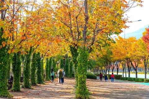 울산체육공원(총괄)