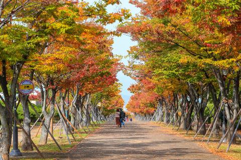 울산체육공원(총괄)