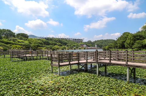 울산체육공원(총괄)