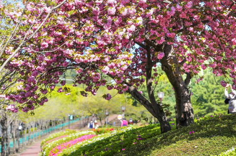 울산체육공원(총괄)