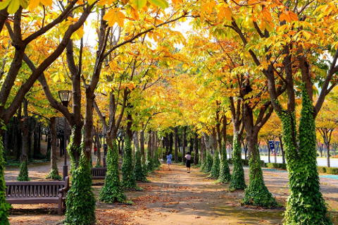 울산체육공원(총괄)