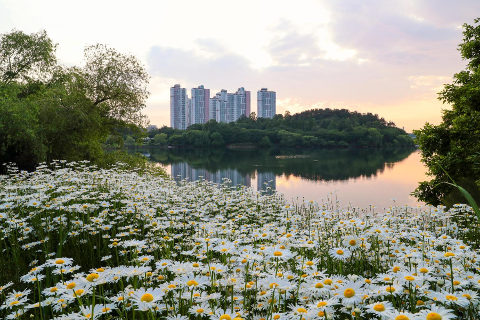 선암호수공원 사계