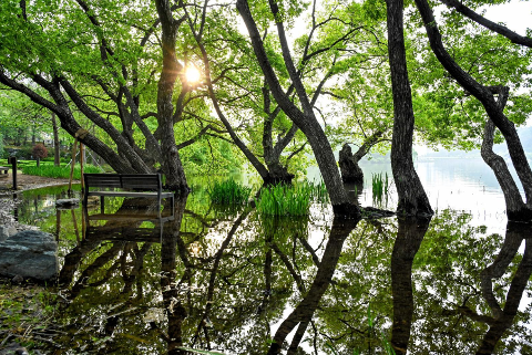선암호수공원 사계