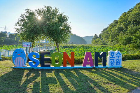 선암호수공원 사계