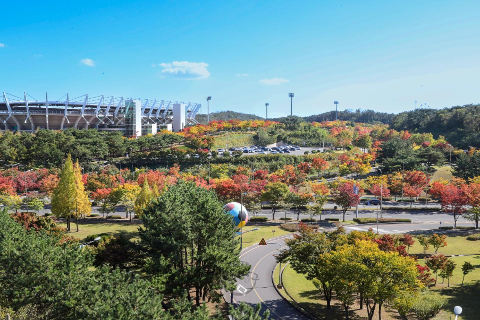 울산체육공원 가을단풍