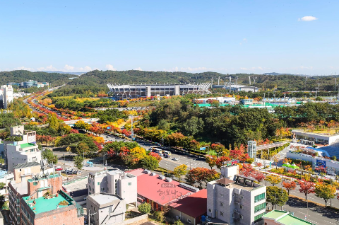 울산체육공원 가을단풍