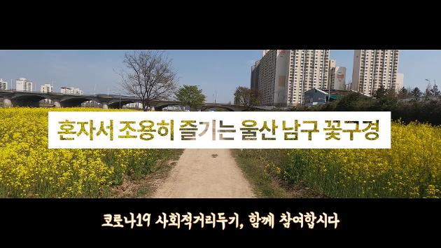 혼자서 조용히 즐기는 울산 남구 꽃구경(feat.1인칭 시점)