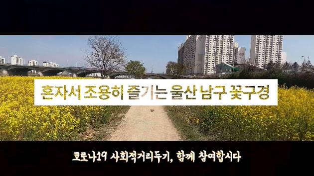 혼자서 조용히 즐기는 울산 남구 꽃구경