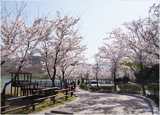 仙岩湖水公園