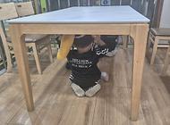 이야스콜라어학원 친구들 안전체험