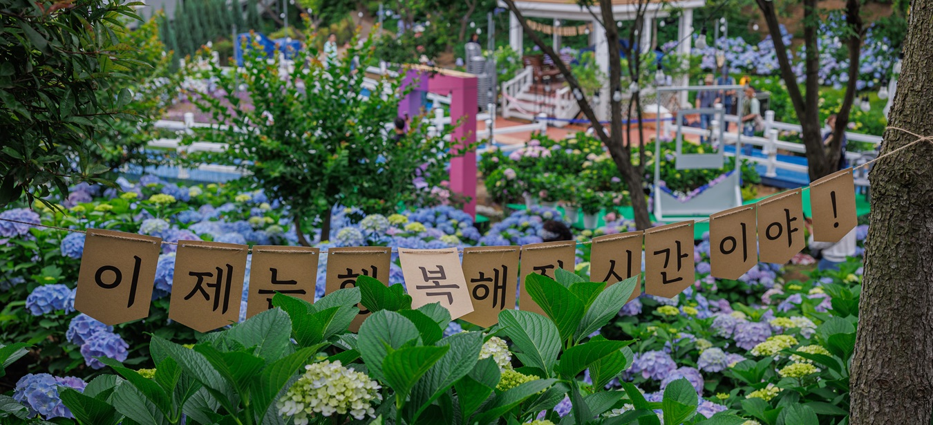 수국축제