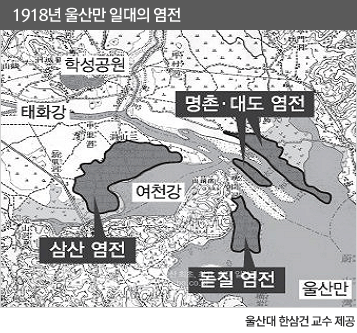 울산대 한삼건 교수 제공