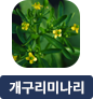main-img