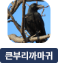 main-img
