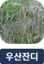 main-img