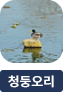 main-img