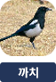 main-img