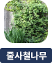 main-img