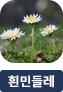 main-img