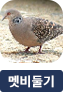 main-img
