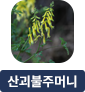 main-img