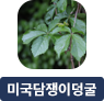 main-img
