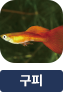 main-img