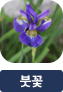 main-img